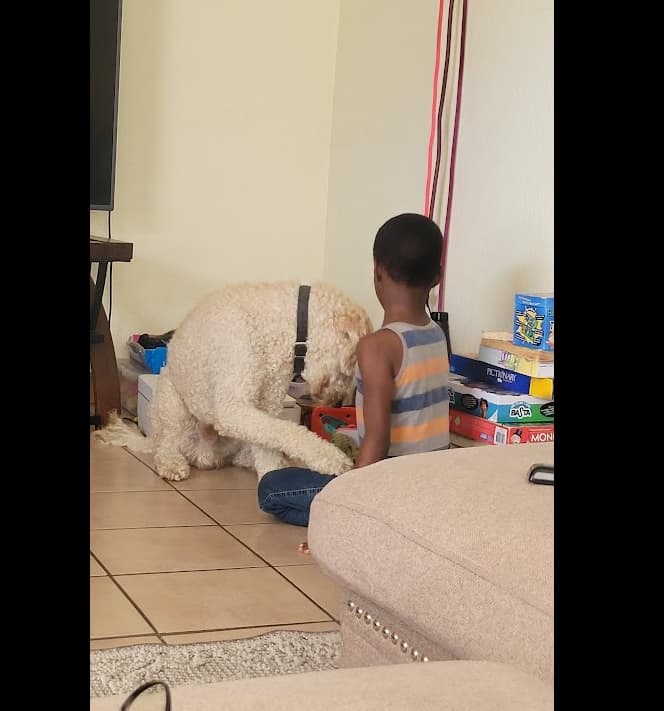 Child interacting with a family dog as part of home activities for toddlers with speech delay
